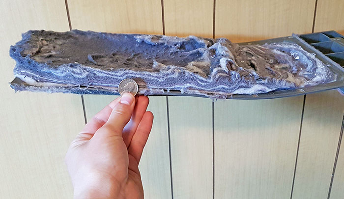 50 Times Doing Laundry Got Extra Exciting And Ended In These Happy Accidents