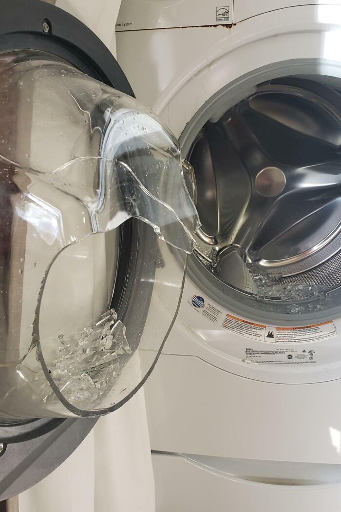 50 Times Doing Laundry Got Extra Exciting And Ended In These Happy Accidents