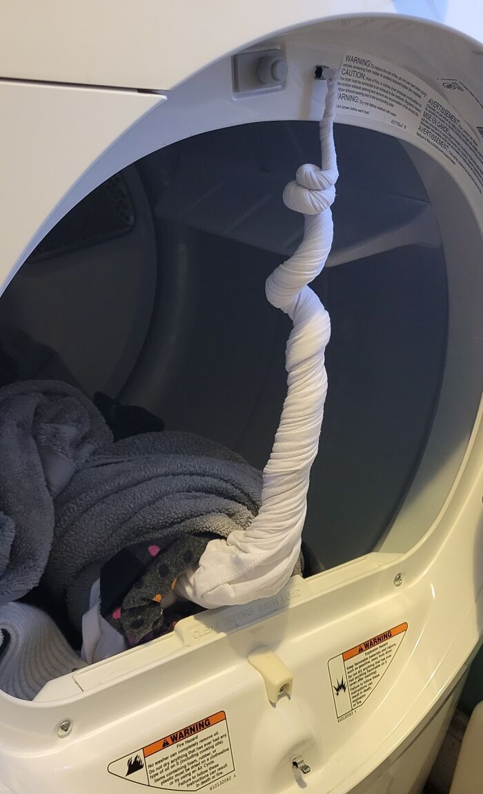 50 Times Doing Laundry Got Extra Exciting And Ended In These Happy Accidents