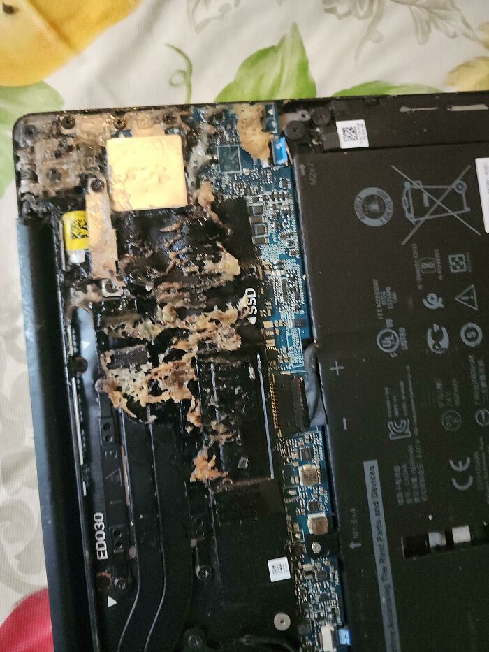 30 Examples Of The Worst Cases Tech Support Workers Have Ever Seen (New Pics) 30 Examples Of The Worst Cases Tech Support Workers Have Ever Seen (New Pics)