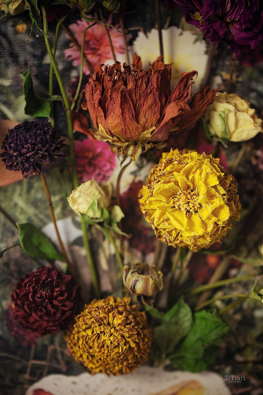 Love Speaks: The Cycle Of 12 Works Love Speaks: The Cycle Of 12 Works