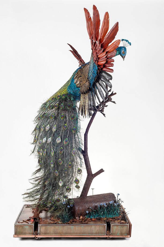 I Spent A Year Making This Life-Sized Peacock Sculpture One Feather At A Time I Spent A Year Making This Life-Sized Peacock Sculpture One Feather At A Time