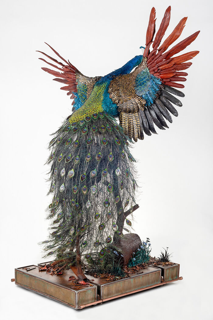 I Spent A Year Making This Life-Sized Peacock Sculpture One Feather At A Time I Spent A Year Making This Life-Sized Peacock Sculpture One Feather At A Time