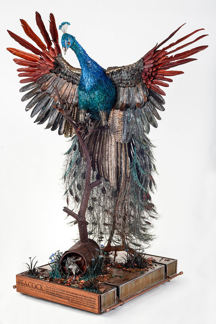 I Spent A Year Making This Life-Sized Peacock Sculpture One Feather At A Time I Spent A Year Making This Life-Sized Peacock Sculpture One Feather At A Time