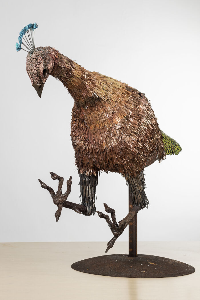 I Spent A Year Making This Life-Sized Peacock Sculpture One Feather At A Time I Spent A Year Making This Life-Sized Peacock Sculpture One Feather At A Time