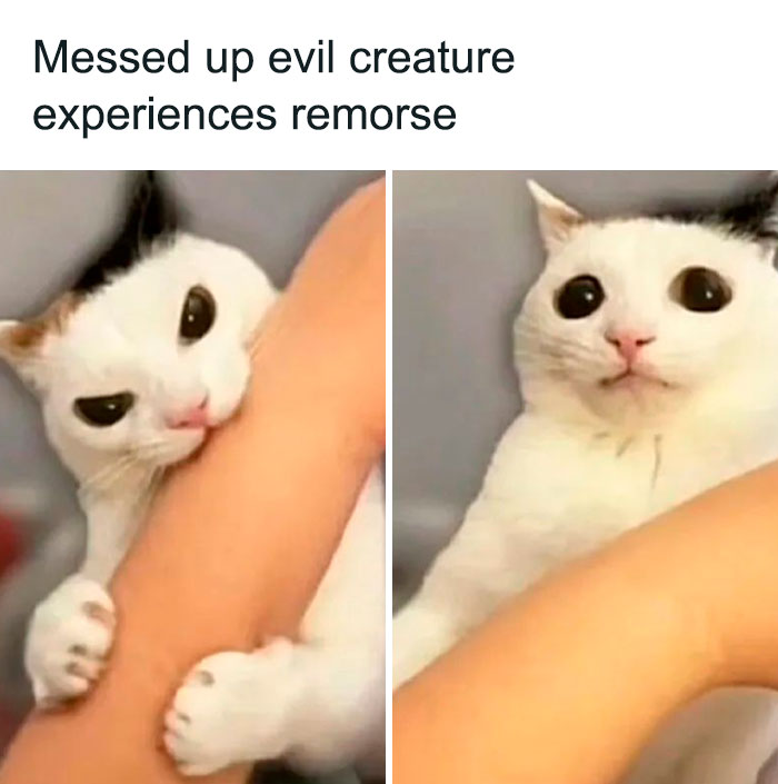 Last Brain Cell: 50 Hilarious Posts And Memes, As Seen On The &lsquo;Iconic Posts&rsquo; X Page