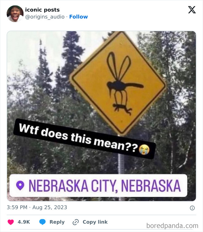 Last Brain Cell: 50 Hilarious Posts And Memes, As Seen On The ‘Iconic Posts’ X Page Last Brain Cell: 50 Hilarious Posts And Memes, As Seen On The ‘Iconic Posts’ X Page