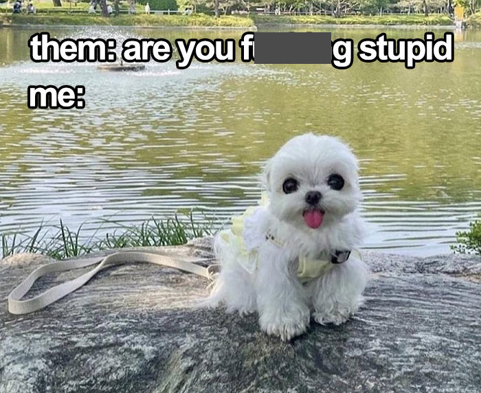 Last Brain Cell: 50 Hilarious Posts And Memes, As Seen On The &lsquo;Iconic Posts&rsquo; X Page