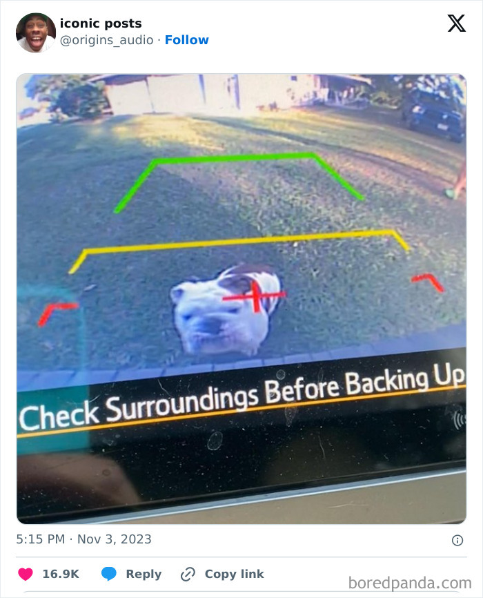 Last Brain Cell: 50 Hilarious Posts And Memes, As Seen On The ‘Iconic Posts’ X Page Last Brain Cell: 50 Hilarious Posts And Memes, As Seen On The ‘Iconic Posts’ X Page