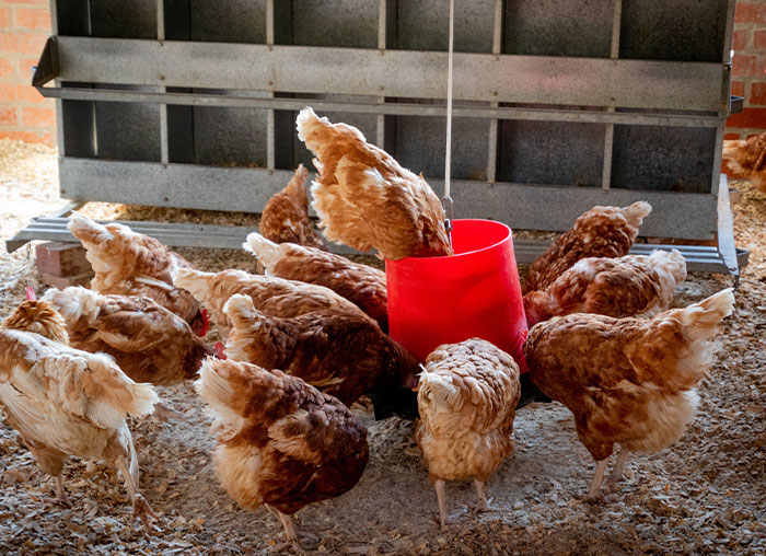 30 Conspiracy Theories That Some People Actually Believe Despite How Ridiculous They Sound