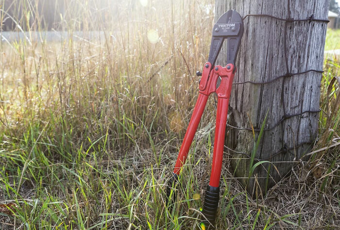 “What Is Suspicious To Own But Not Illegal?”: 30 People Share What Makes Them Feel Criminal