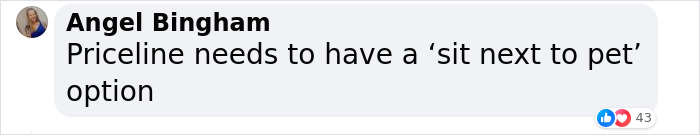 “They Behave Better” New Survey Shows That People Prefer Pets Over Children On Planes “They Behave Better” New Survey Shows That People Prefer Pets Over Children On Planes