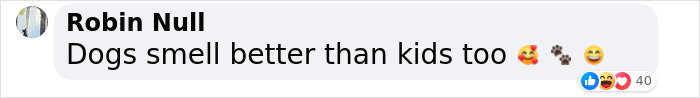 “They Behave Better” New Survey Shows That People Prefer Pets Over Children On Planes “They Behave Better” New Survey Shows That People Prefer Pets Over Children On Planes