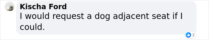 “They Behave Better” New Survey Shows That People Prefer Pets Over Children On Planes “They Behave Better” New Survey Shows That People Prefer Pets Over Children On Planes