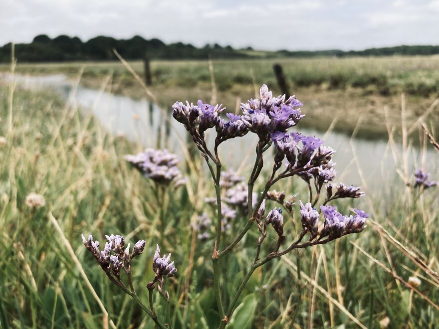 My Phone Photography Tips (33 Pics)