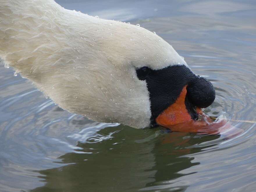 My Phone Photography Tips (33 Pics)