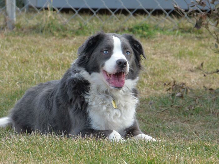 50 Pieces Of &lsquo;Uplifting News&rsquo; From 2023 For Those Who Are Fed Up With The Bad News