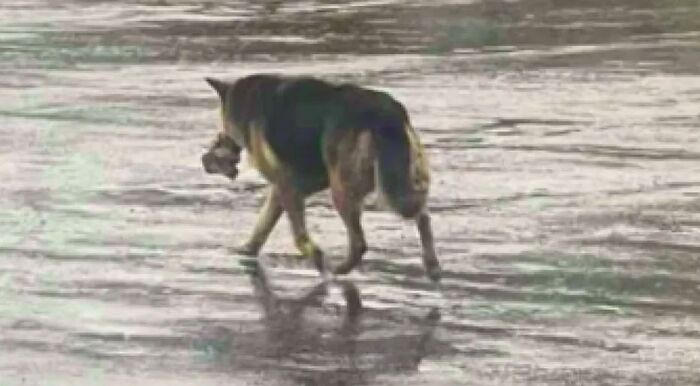 50 Pieces Of &lsquo;Uplifting News&rsquo; From 2023 For Those Who Are Fed Up With The Bad News