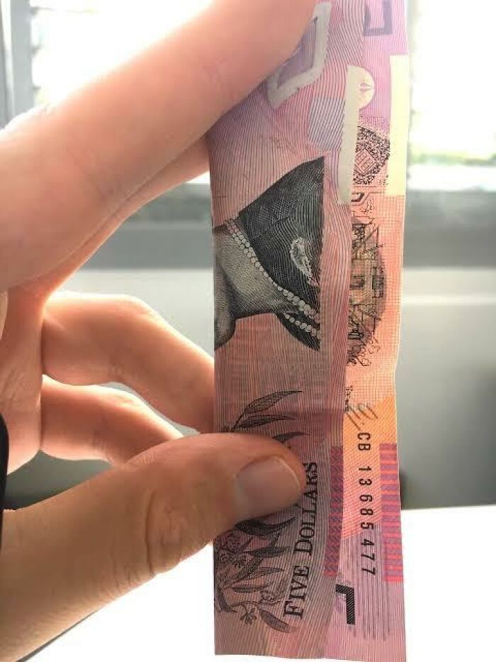 50 Pieces Of &lsquo;Uplifting News&rsquo; From 2023 For Those Who Are Fed Up With The Bad News