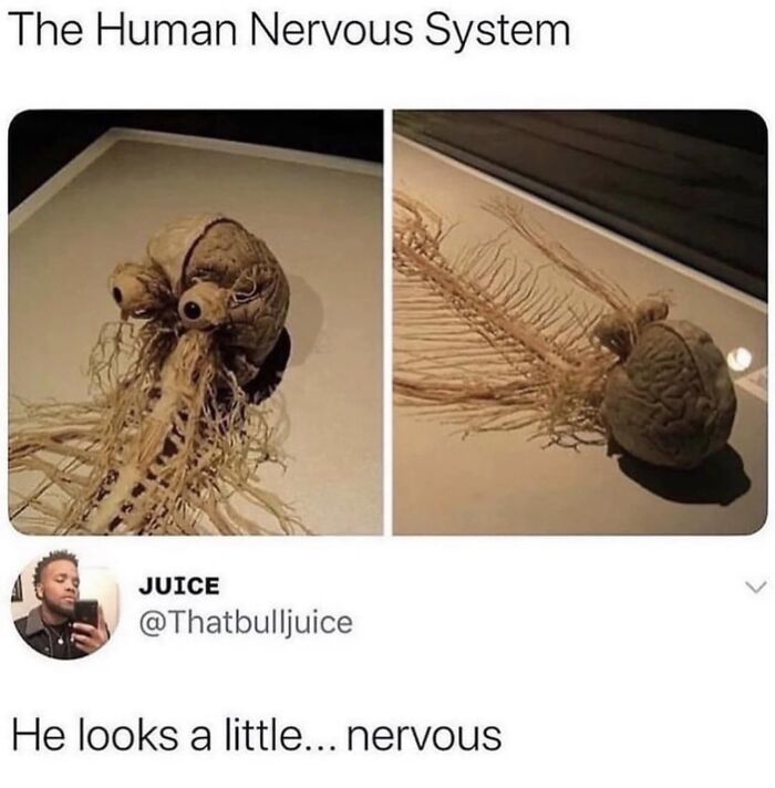 50 Funny Memes That You Might Find Painfully Relatable 50 Funny Memes That You Might Find Painfully Relatable