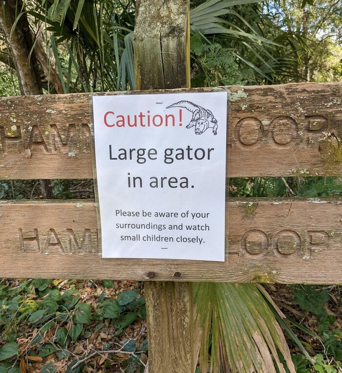People Are Posting The Threatening Signs They’ve Encountered, Here Are The 50 Best Ones People Are Posting The Threatening Signs They’ve Encountered, Here Are The 50 Best Ones