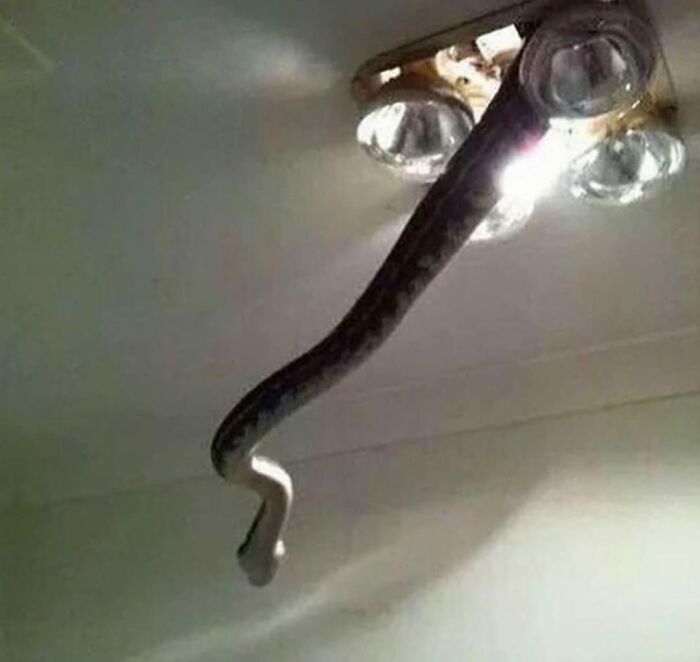 50 Pics Of People Having A Worse Day Than You, As Shared On This Facebook Page 50 Pics Of People Having A Worse Day Than You, As Shared On This Facebook Page