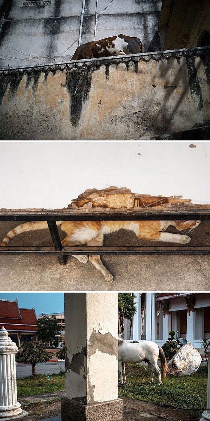 This Instagram Account Shows The Similarities Between Different Photographers And Their Photos (30 Pics) This Instagram Account Shows The Similarities Between Different Photographers And Their Photos (30 Pics)