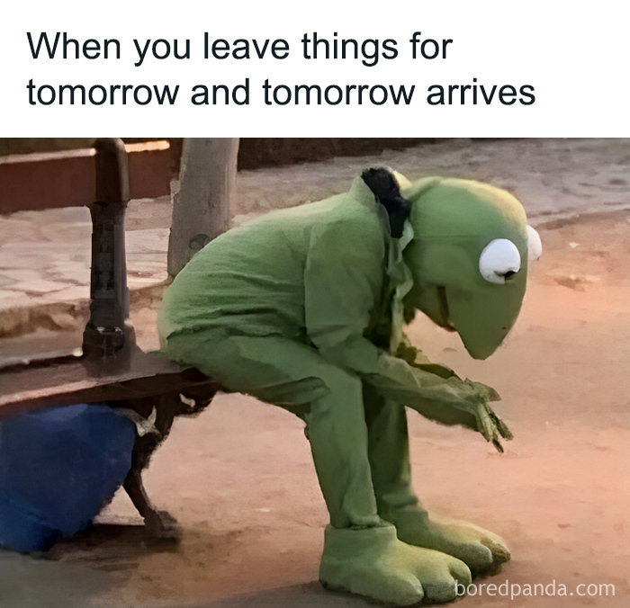 50 Hilarious, Confusing And Unsettling Pics From &ldquo;I Would Prefer Not To&rdquo; (New Pics)