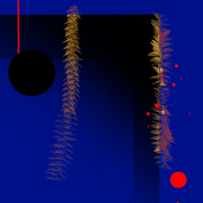 Chromatic Chronicles: 25 Winning Photos From The 35th AAP Magazine Photography Awards