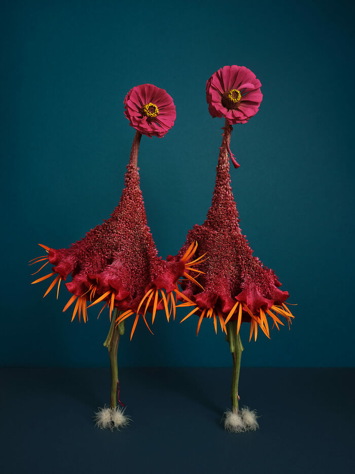 Chromatic Chronicles: 25 Winning Photos From The 35th AAP Magazine Photography Awards