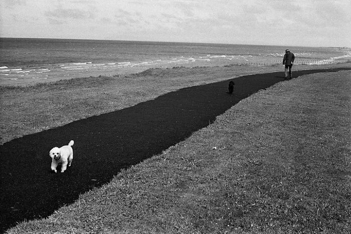 Here Are 50 Of The Most Interesting Images Selected By This Instagram Page Here Are 50 Of The Most Interesting Images Selected By This Instagram Page