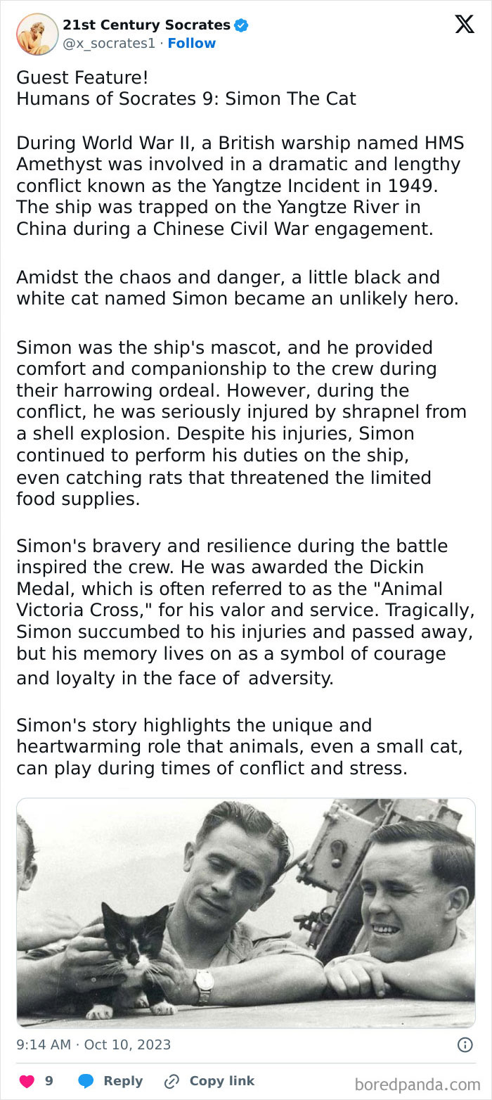 &ldquo;21st Century Socrates&rdquo;: 24 Amazing And Heartbreaking Stories About Humans