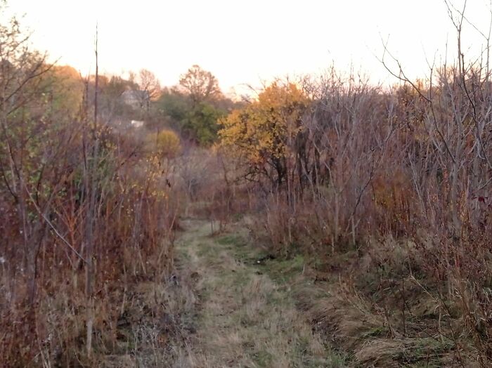 We Continued To Do Creative Work During The War (23 Pics) We Continued To Do Creative Work During The War (23 Pics)