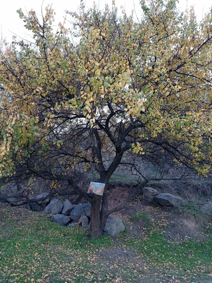 We Continued To Do Creative Work During The War (23 Pics) We Continued To Do Creative Work During The War (23 Pics)