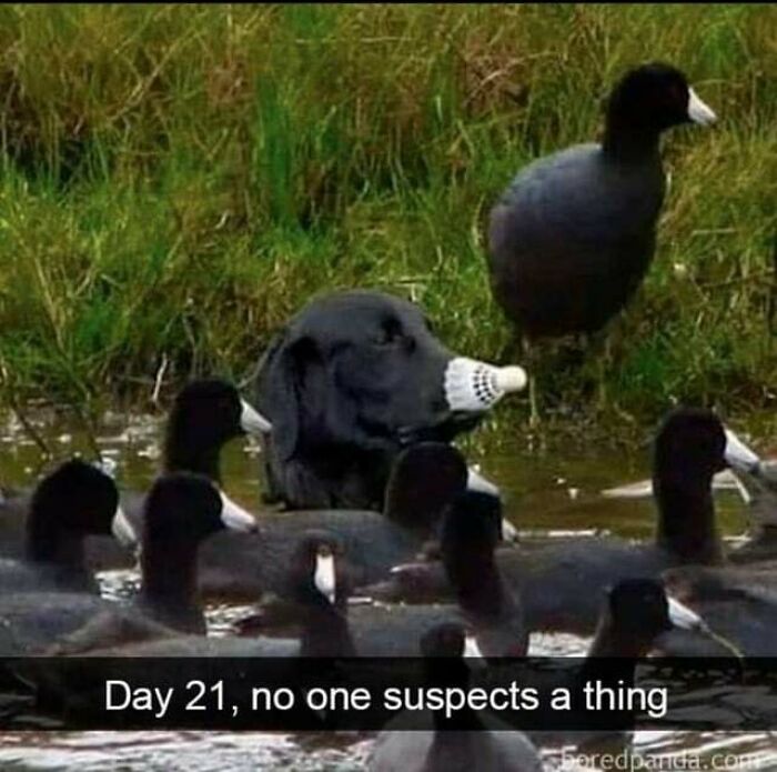 50 ‘Blessed Images’ That Radiate Positivity And Happiness 50 ‘Blessed Images’ That Radiate Positivity And Happiness