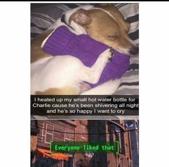 50 ‘Blessed Images’ That Radiate Positivity And Happiness 50 ‘Blessed Images’ That Radiate Positivity And Happiness