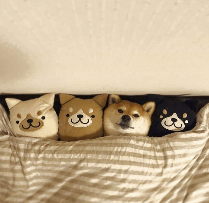 50 ‘Blessed Images’ That Radiate Positivity And Happiness 50 ‘Blessed Images’ That Radiate Positivity And Happiness