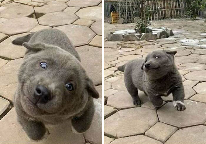 50 ‘Blessed Images’ That Radiate Positivity And Happiness 50 ‘Blessed Images’ That Radiate Positivity And Happiness