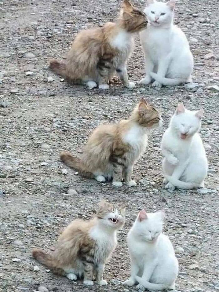 50 ‘Blessed Images’ That Radiate Positivity And Happiness 50 ‘Blessed Images’ That Radiate Positivity And Happiness