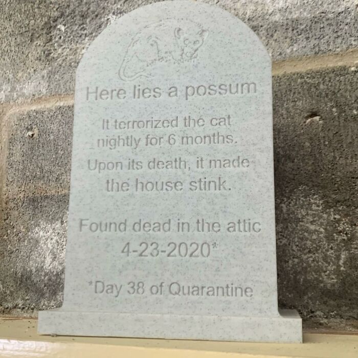 50 Weird Items That People Donated To Thrift Stores, Only For Them To End Up On This IG Page 50 Weird Items That People Donated To Thrift Stores, Only For Them To End Up On This IG Page