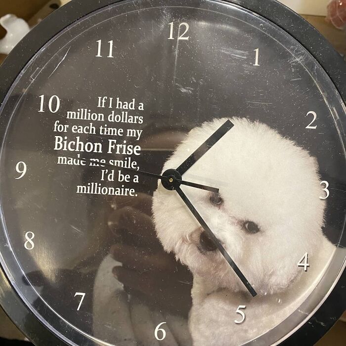 50 Weird Items That People Donated To Thrift Stores, Only For Them To End Up On This IG Page 50 Weird Items That People Donated To Thrift Stores, Only For Them To End Up On This IG Page