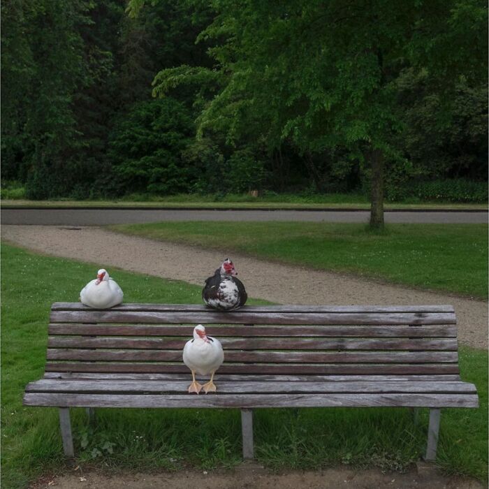 30 Funny Accidental Images That Were Taken At The Right Time And Place By This Street Photographer 30 Funny Accidental Images That Were Taken At The Right Time And Place By This Street Photographer