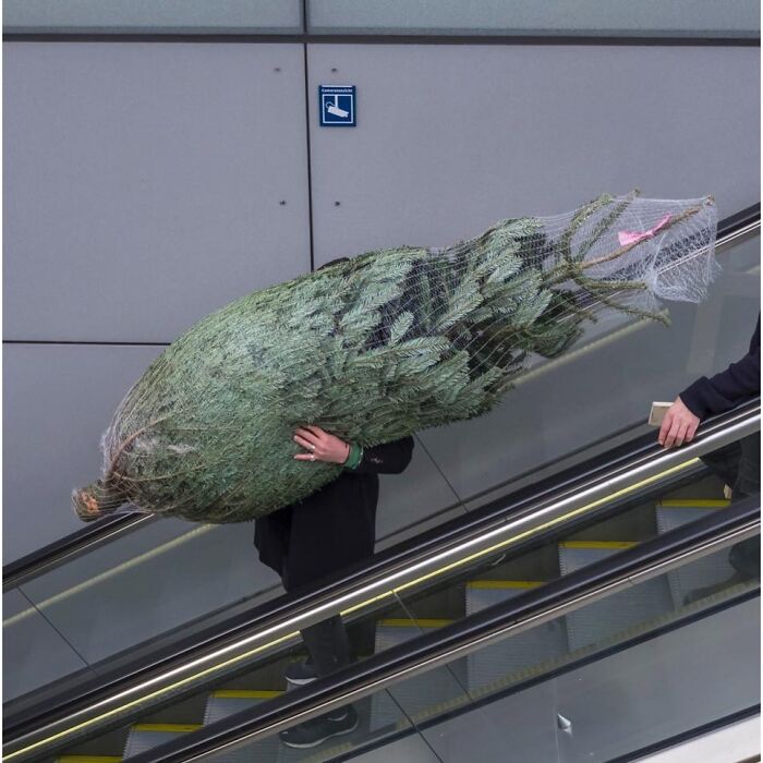 30 Funny Accidental Images That Were Taken At The Right Time And Place By This Street Photographer 30 Funny Accidental Images That Were Taken At The Right Time And Place By This Street Photographer