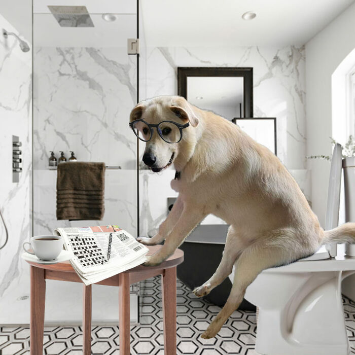 Guy Catches His Doggo Sitting Like A Person, Posts Pic Online, Gets These 29 Edits In Return Guy Catches His Doggo Sitting Like A Person, Posts Pic Online, Gets These 29 Edits In Return