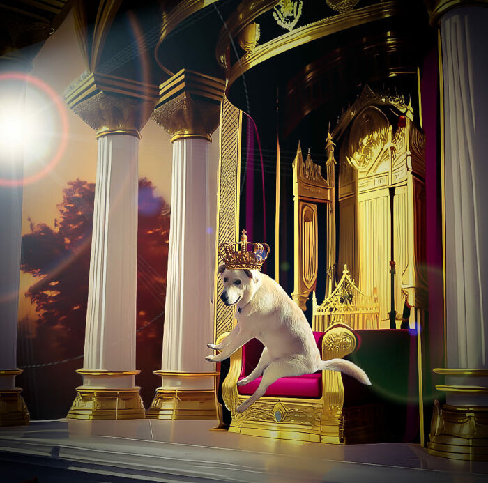 Guy Catches His Doggo Sitting Like A Person, Posts Pic Online, Gets These 29 Edits In Return Guy Catches His Doggo Sitting Like A Person, Posts Pic Online, Gets These 29 Edits In Return