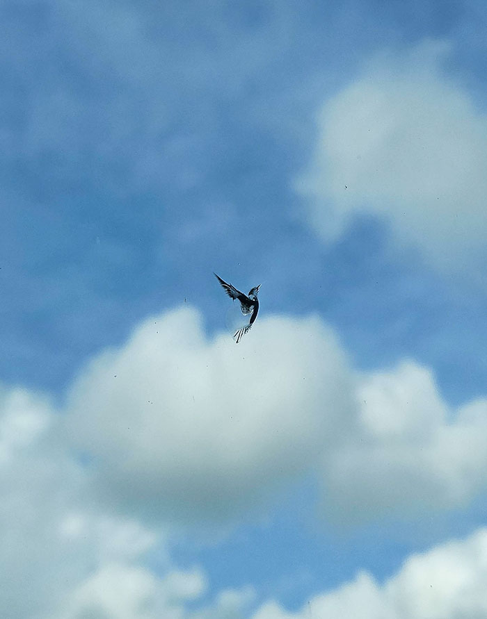 50 Hilarious Examples Of Pareidolia That Prove Our Brains Will Truly Come Up With Anything 50 Hilarious Examples Of Pareidolia That Prove Our Brains Will Truly Come Up With Anything