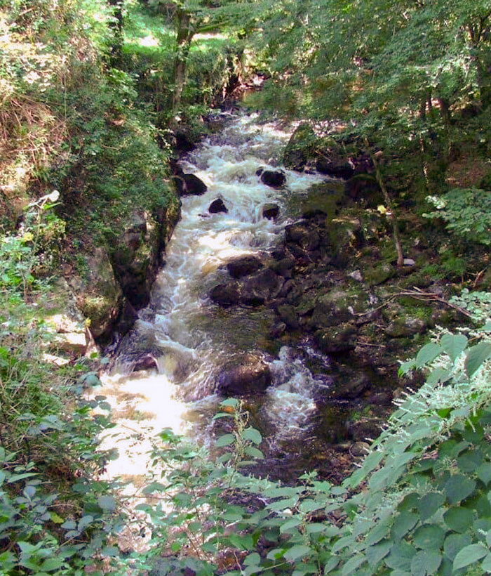 50 Hilarious Examples Of Pareidolia That Prove Our Brains Will Truly Come Up With Anything 50 Hilarious Examples Of Pareidolia That Prove Our Brains Will Truly Come Up With Anything