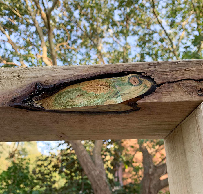 50 Hilarious Examples Of Pareidolia That Prove Our Brains Will Truly Come Up With Anything 50 Hilarious Examples Of Pareidolia That Prove Our Brains Will Truly Come Up With Anything