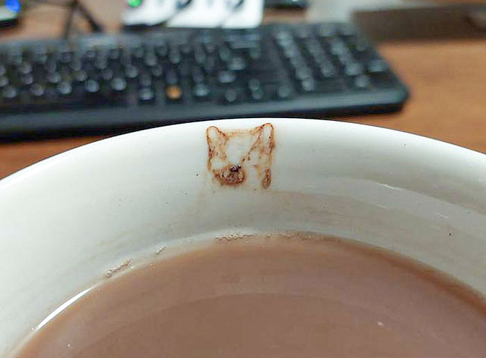 50 Hilarious Examples Of Pareidolia That Prove Our Brains Will Truly Come Up With Anything 50 Hilarious Examples Of Pareidolia That Prove Our Brains Will Truly Come Up With Anything