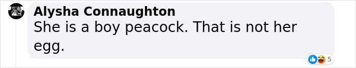 Husband Tom Kaulitz Completely Stole Spotlight From Heidi Klum&rsquo;s Peacock Costume At Her Epic Halloween Party